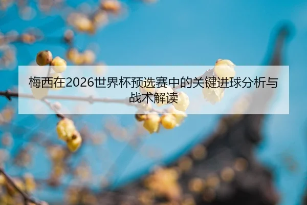 mei-xi-zai-shi-jie-bei-yu-xuan-sai-zhong-de-guan-jian-jin-qiu-fen-xi-yu-zhan-shu-jie-du-2-748.jpg