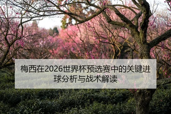 梅西在2026世界杯预选赛中的关键进球分析与战术解读