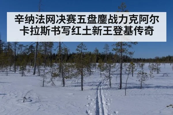 辛纳法网决赛五盘鏖战力克阿尔卡拉斯书写红土新王登基传奇
